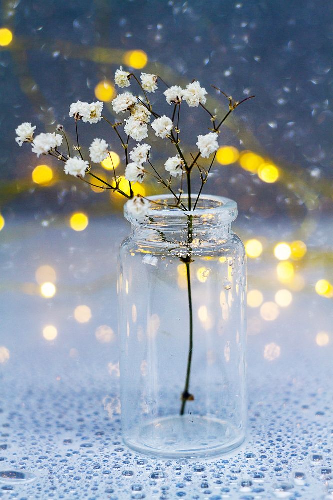 Photograph by Анна Малютина