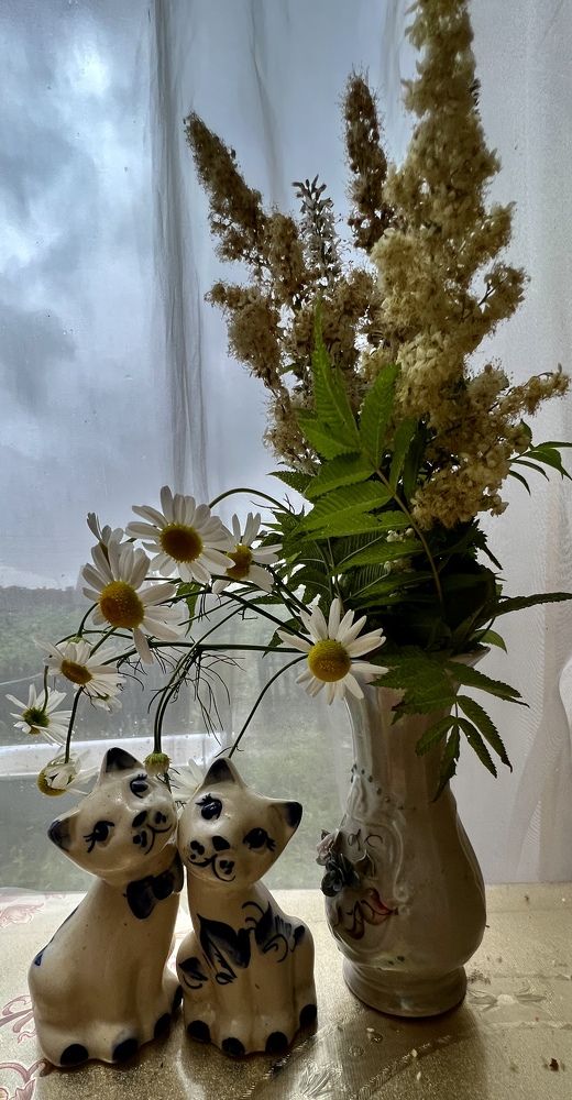 Photograph by Елена Мизина