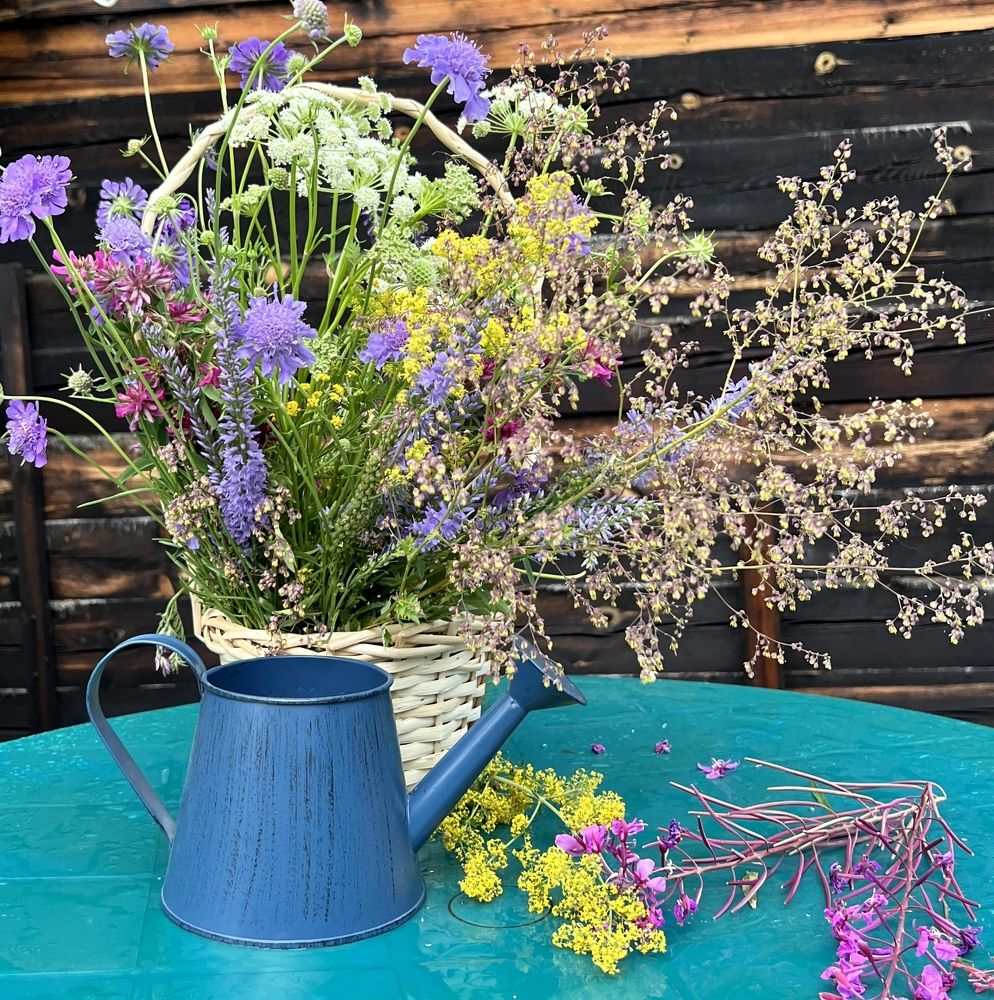 Photograph by Елена Мизина