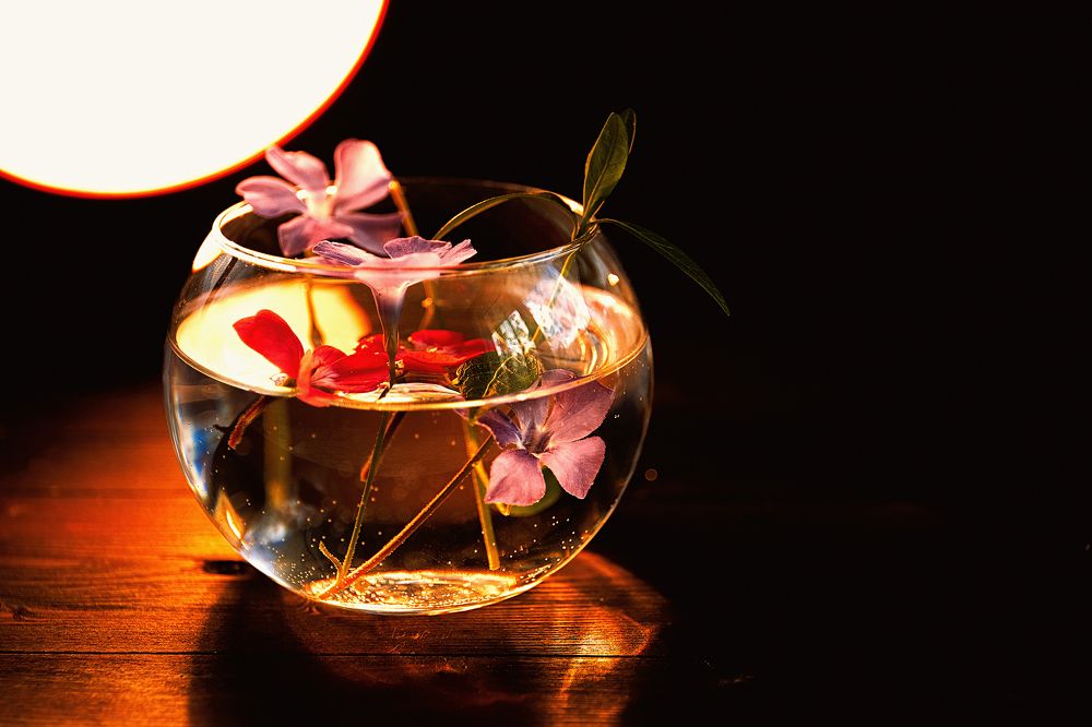 Photograph by Сергей Зайцев