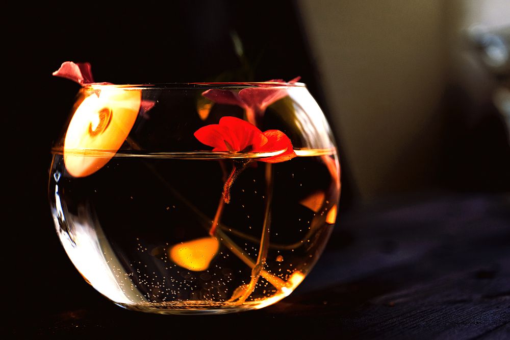 Photograph by Сергей Зайцев