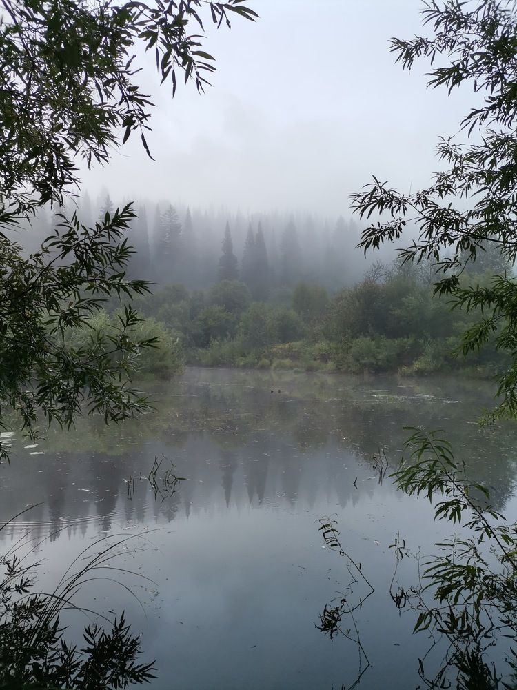 Утро туманное