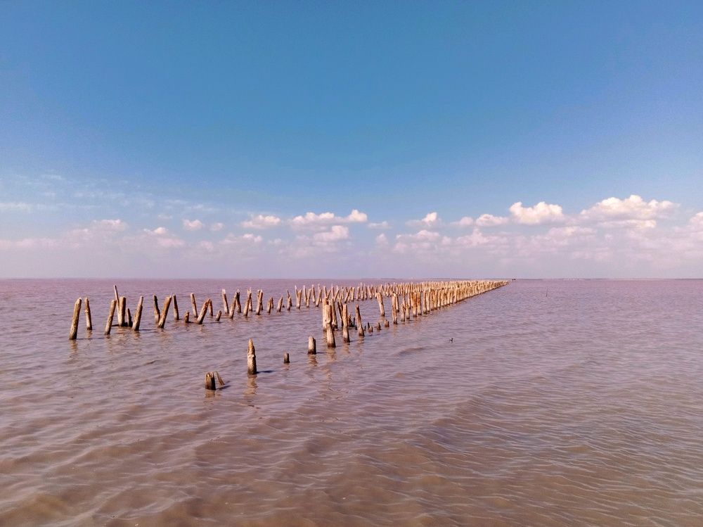 Photograph by Стаскевич Татьяна