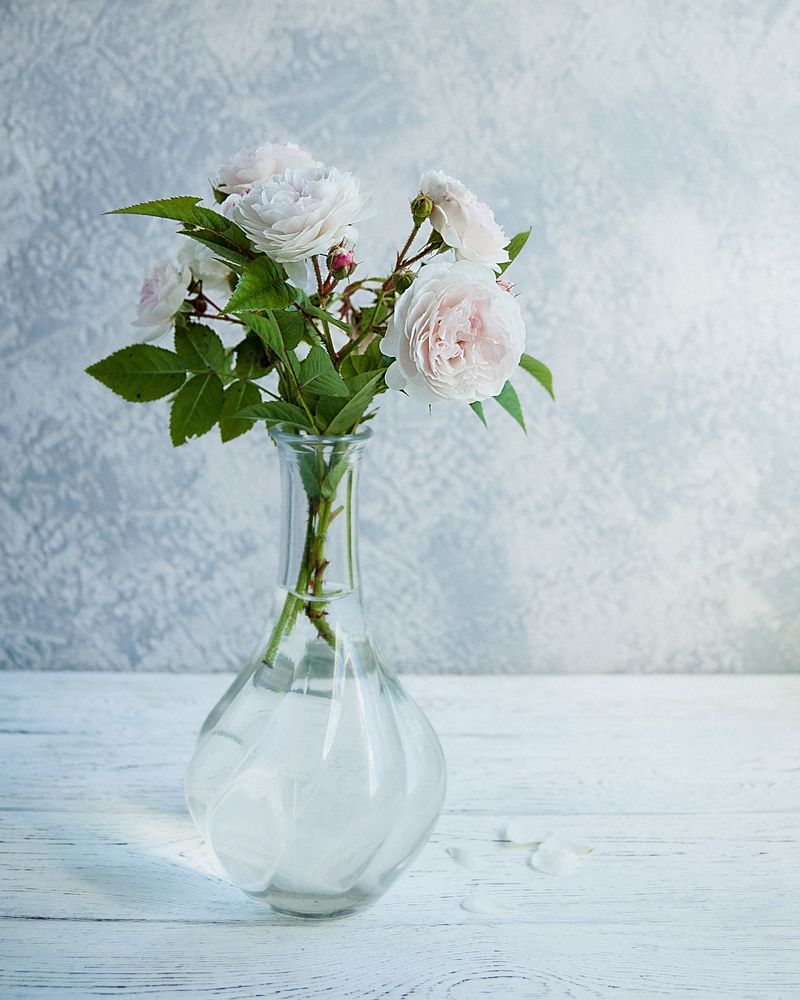 Photograph by Марина Прусс