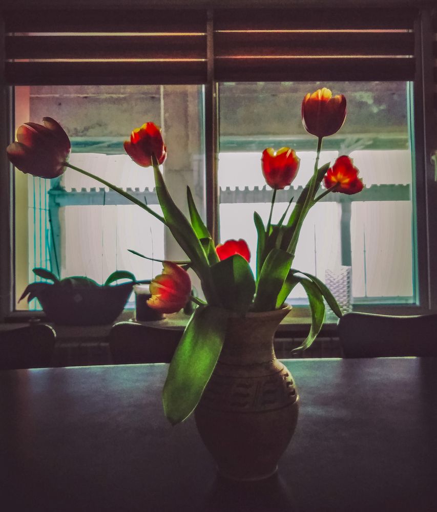 Photograph by Simona Ariton