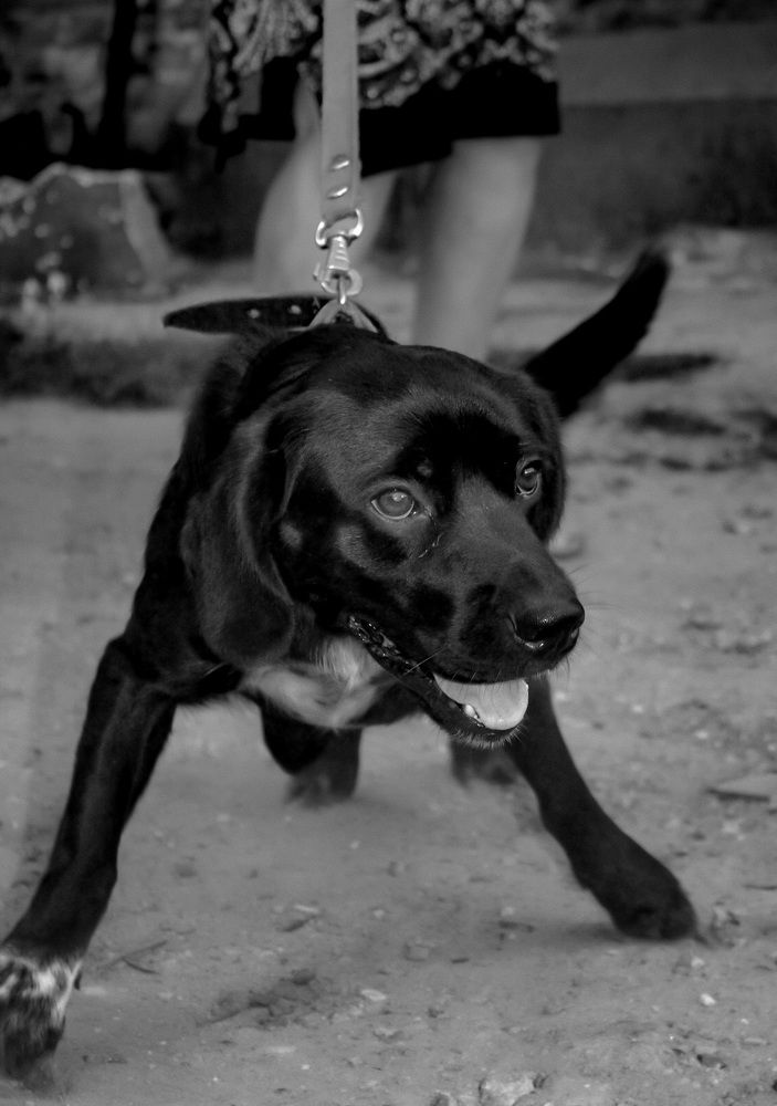 Photograph by Даша Антипина