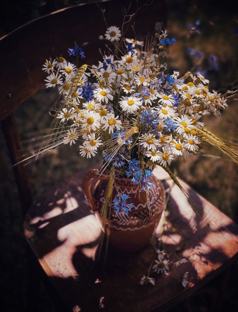 Photograph by Виктория Селютина