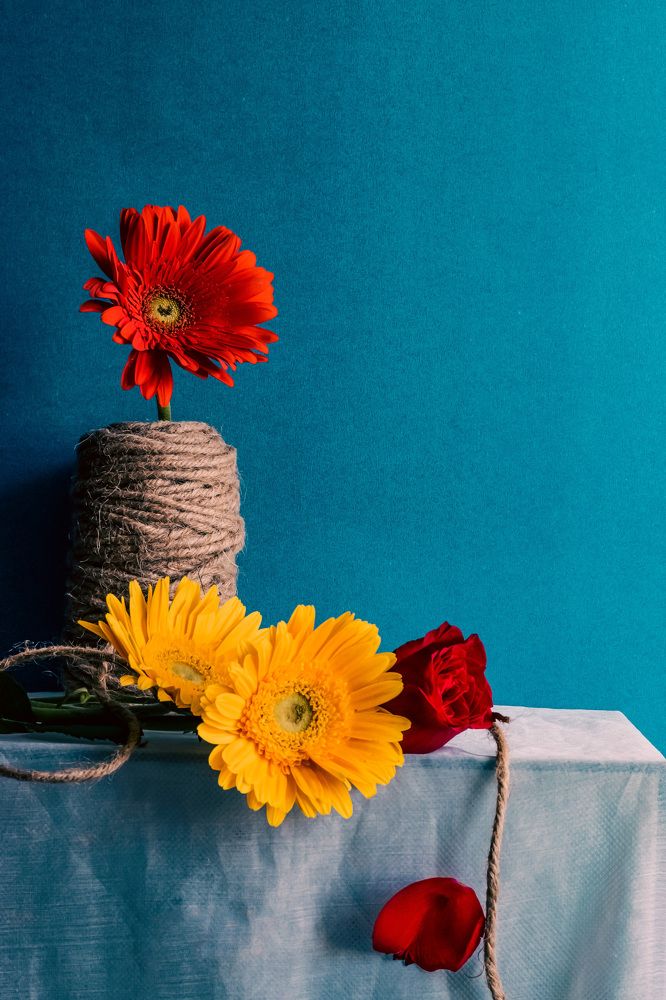 Photograph by Harina A