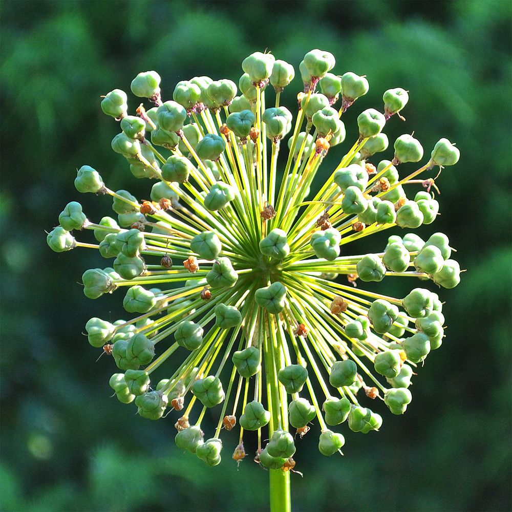 Photograph by Алексей