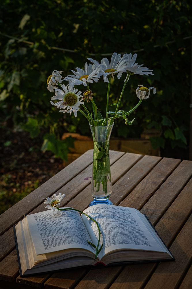 Photograph by Ольга Левакова