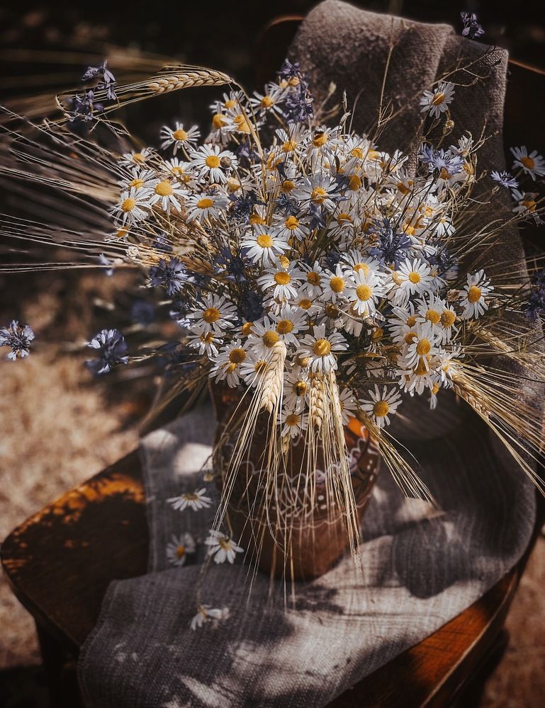 Photograph by Виктория Селютина