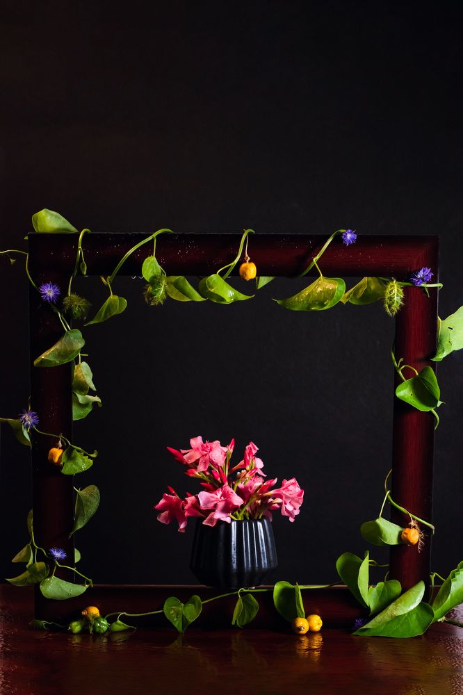 Photograph by Harina A