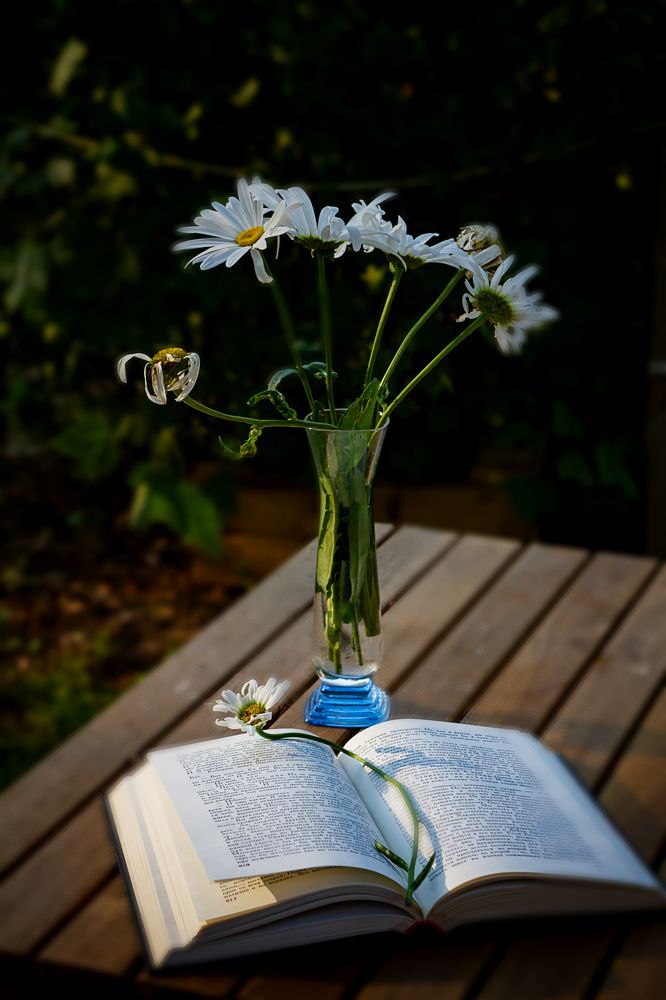 Photograph by Ольга Левакова