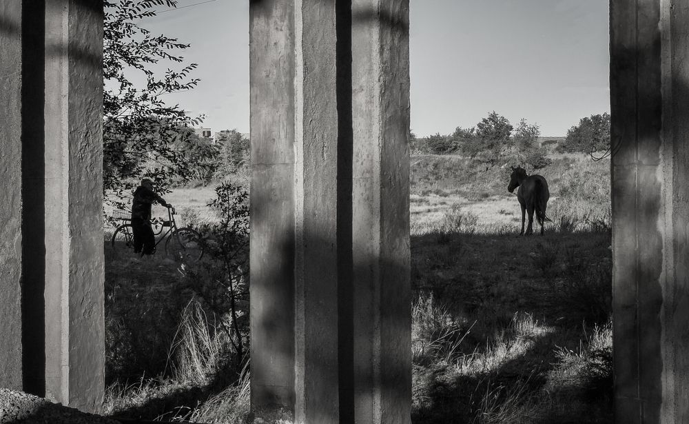 Фотография автора Roman Penkov