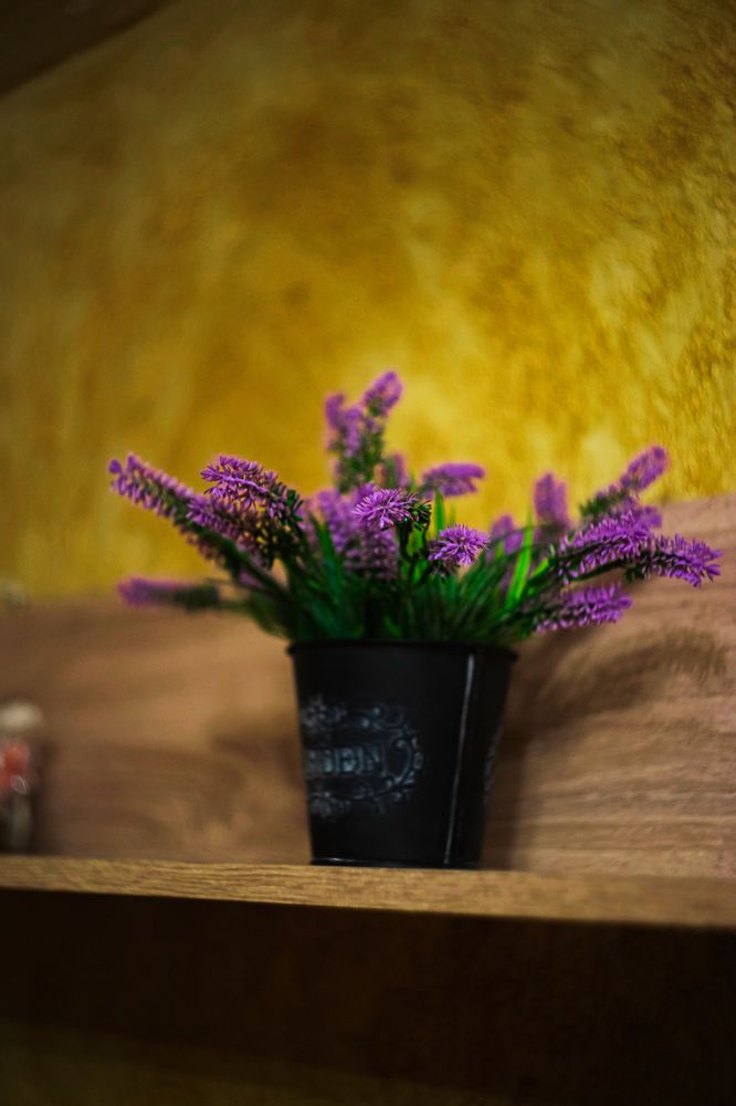 Photograph by Артём Александрович