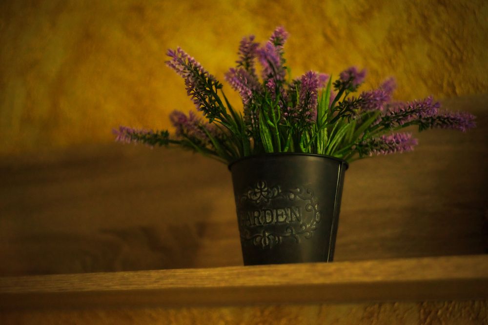 Photograph by Артём Александрович