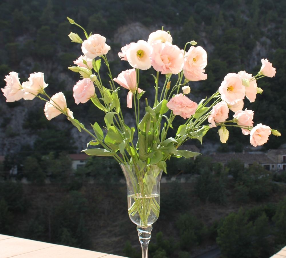 Photograph by Nadzeya