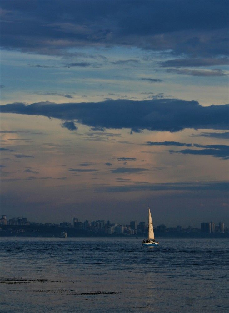 Фотография автора Татьяна Шебаршенко