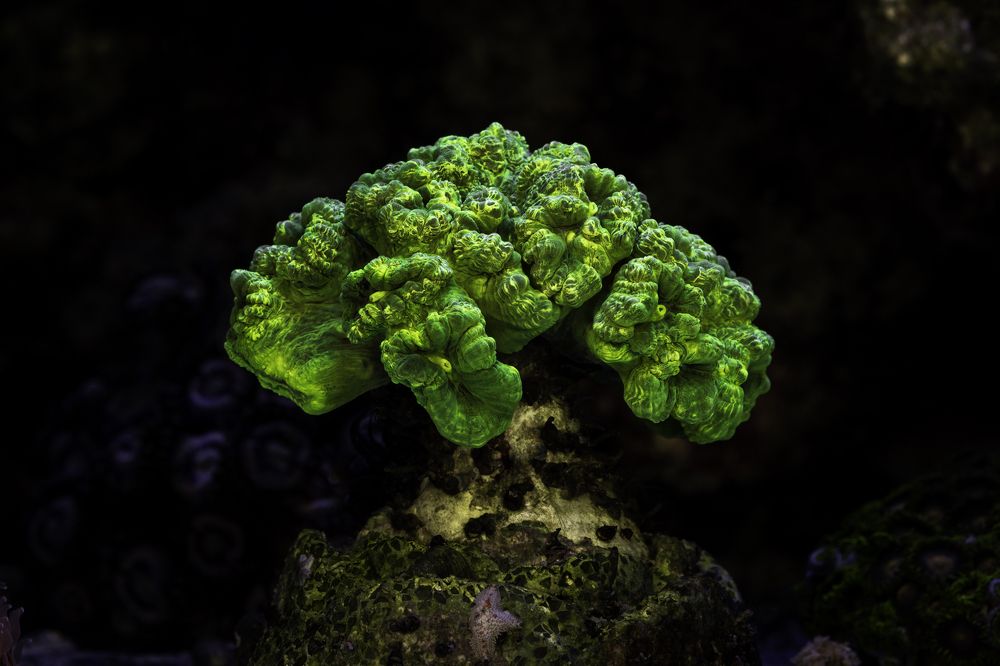 Photograph by Армен Майтесян