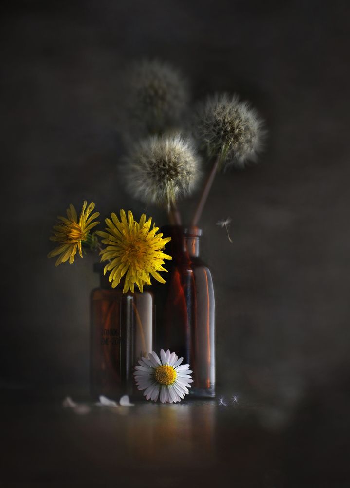 Photograph by Eduardo Modolo