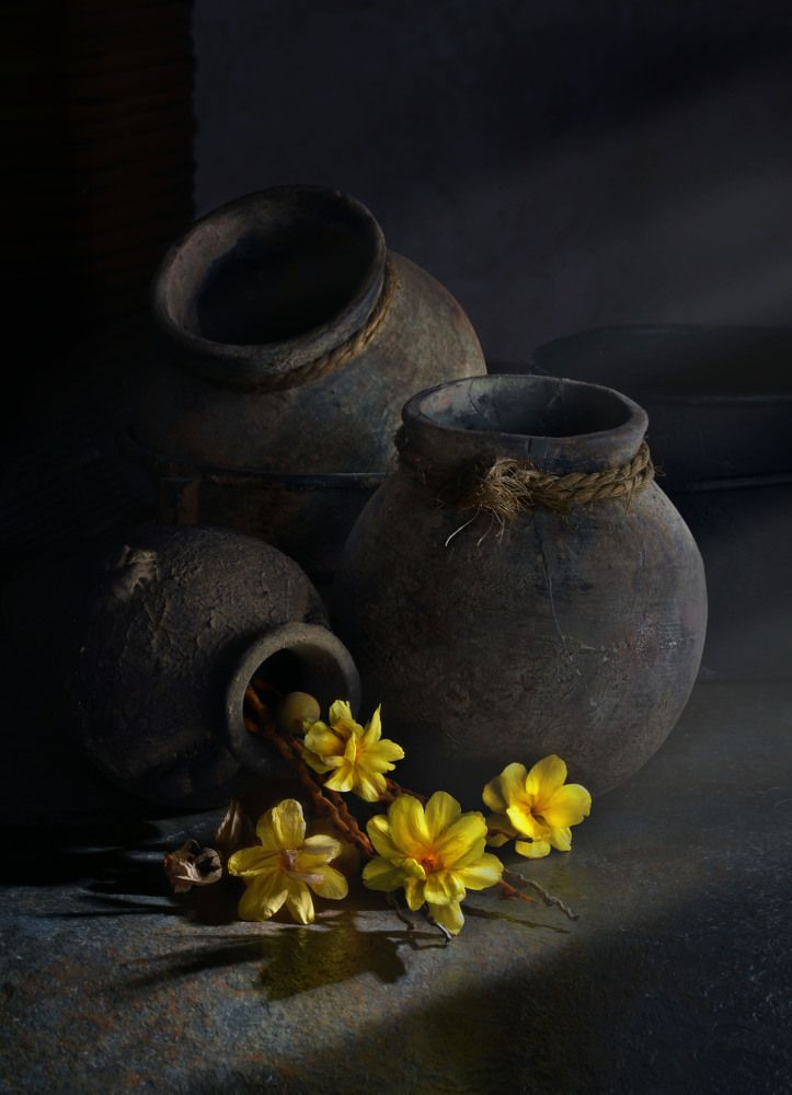 Photograph by Eduardo Modolo