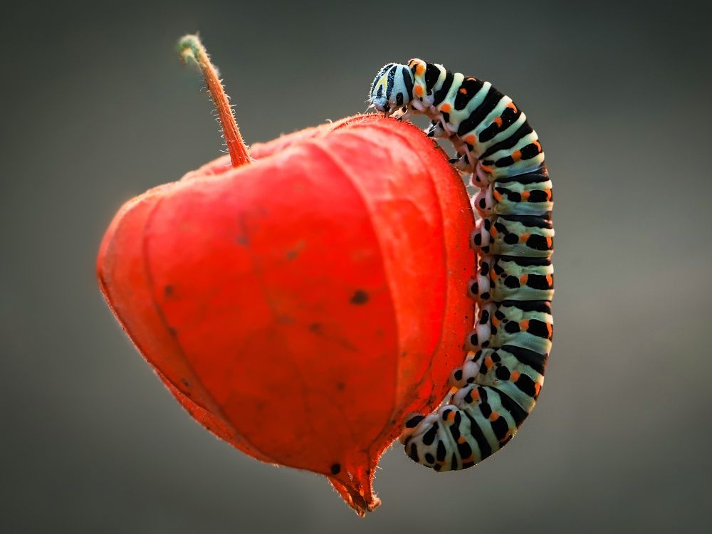 Photograph by çiğdem Sorgut