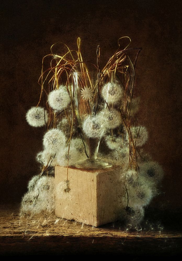 Photograph by Инна Буглак