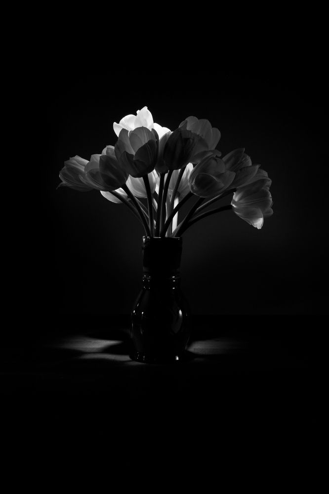 Photograph by Ирина Князева