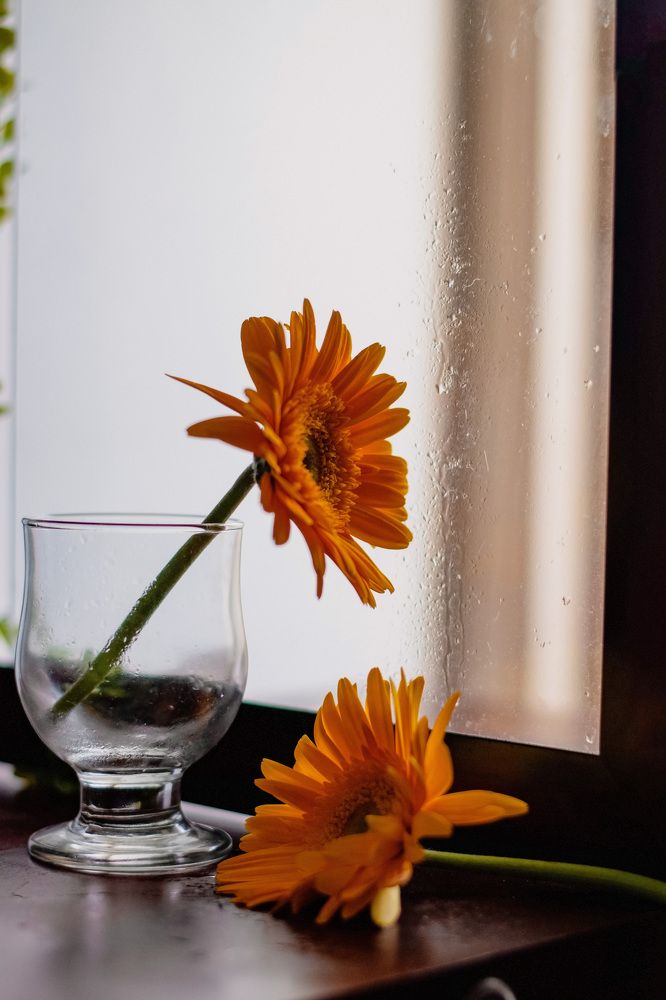 Photograph by Harina A