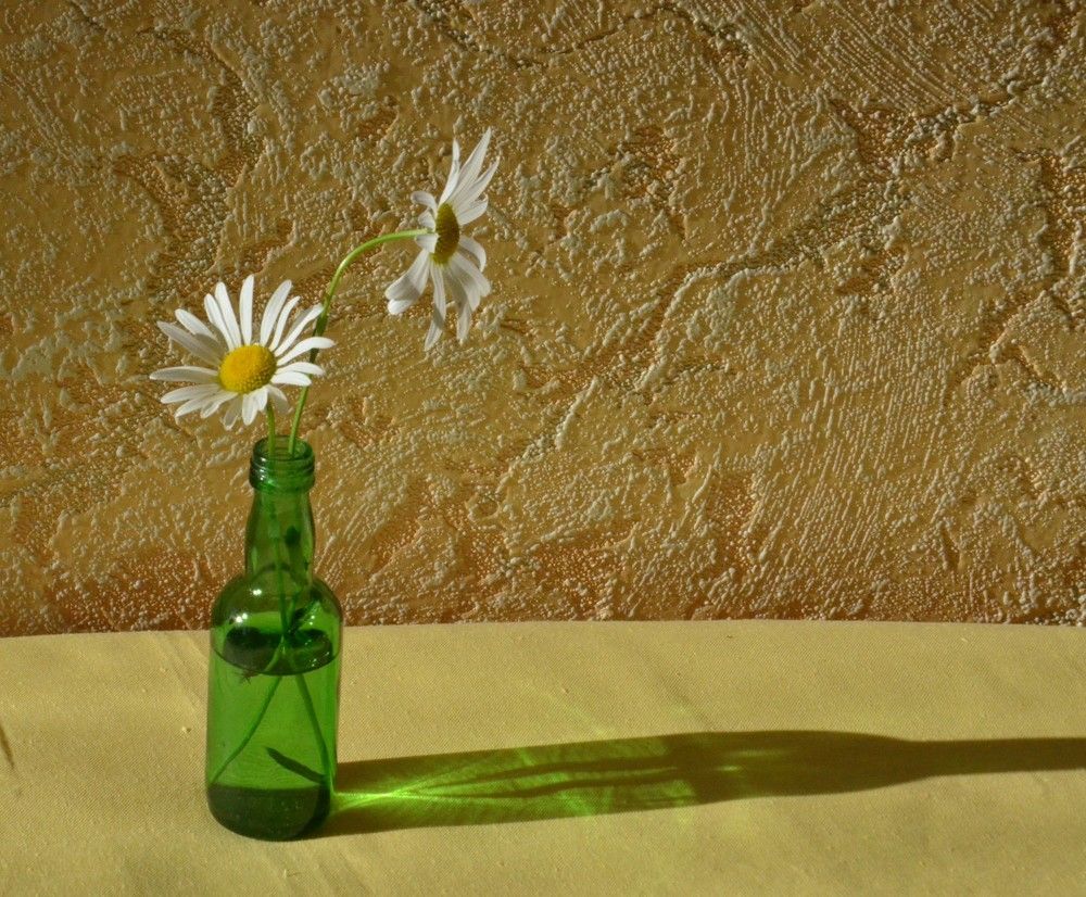 Photograph by Ольга МИхайлова