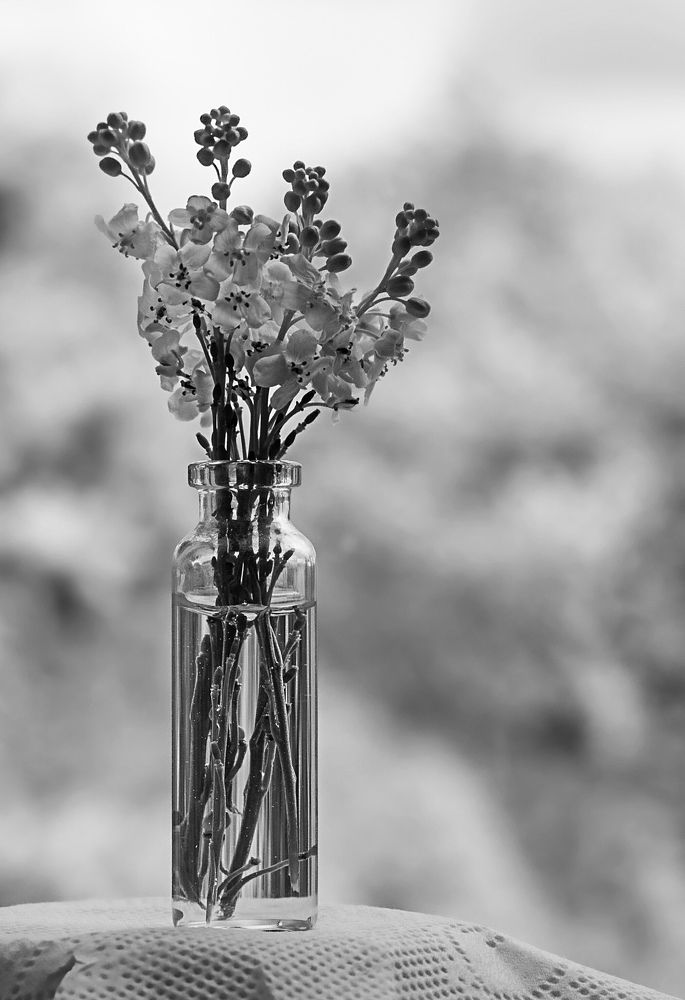 Photograph by Elena Lopatina