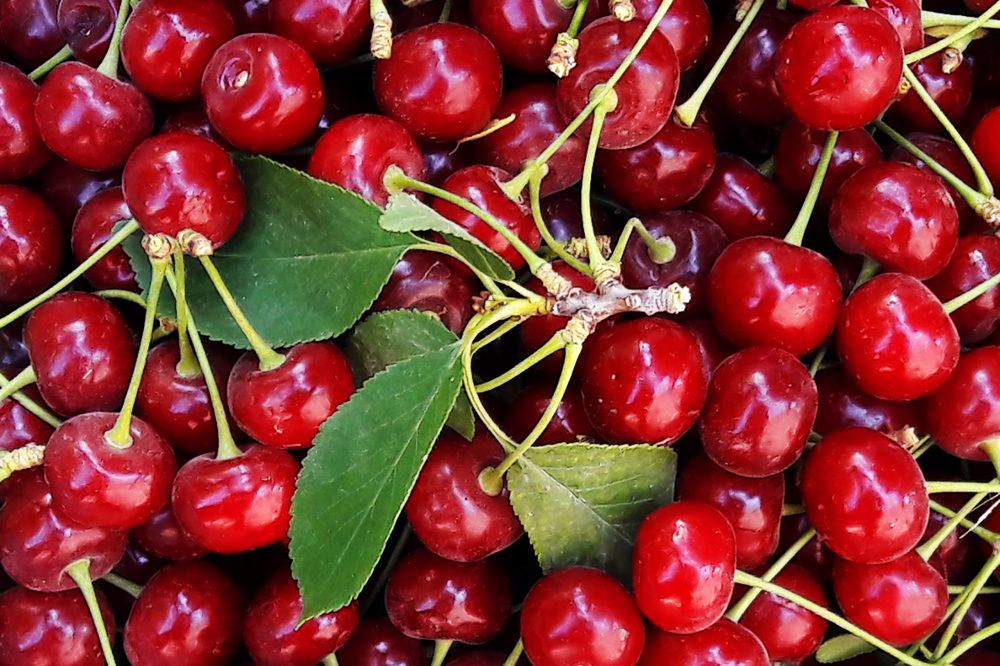 Photograph by mehdi karimi souderjani