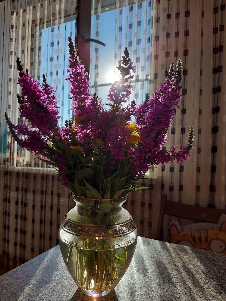 Photograph by Татьяна Бородина