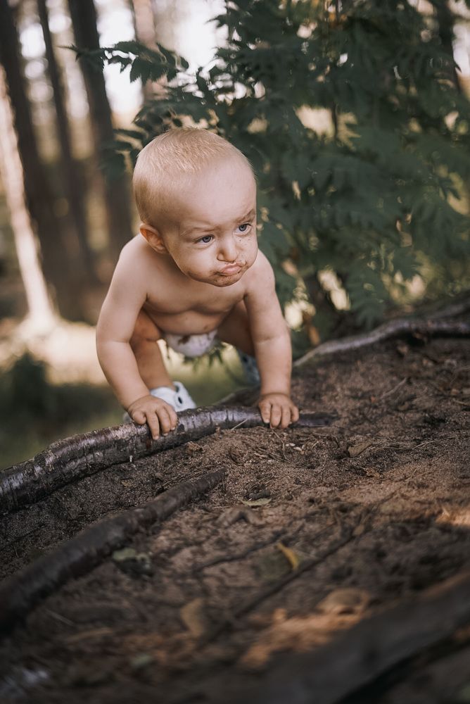 Фотография автора Дарья Воронина