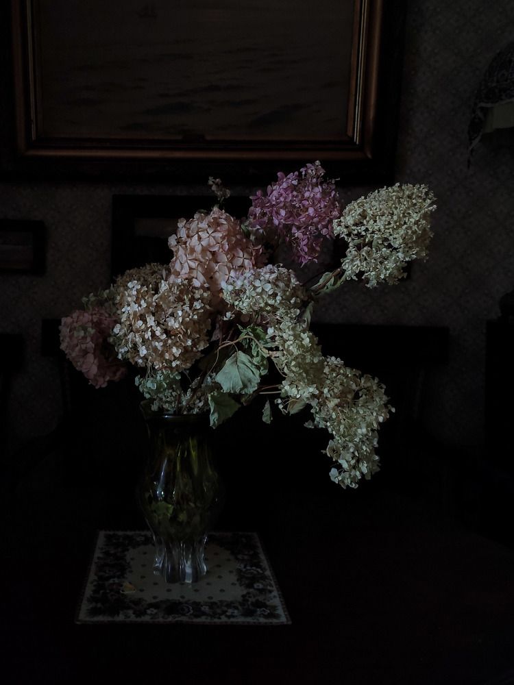 Photograph by Ирина Князева