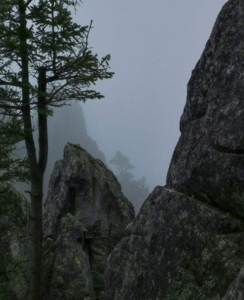 Photograph by Дмитрий Жучков