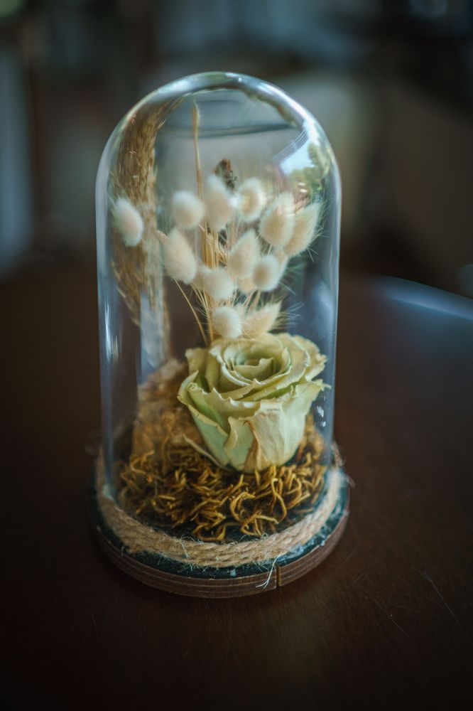 Photograph by Ольга Рачилова