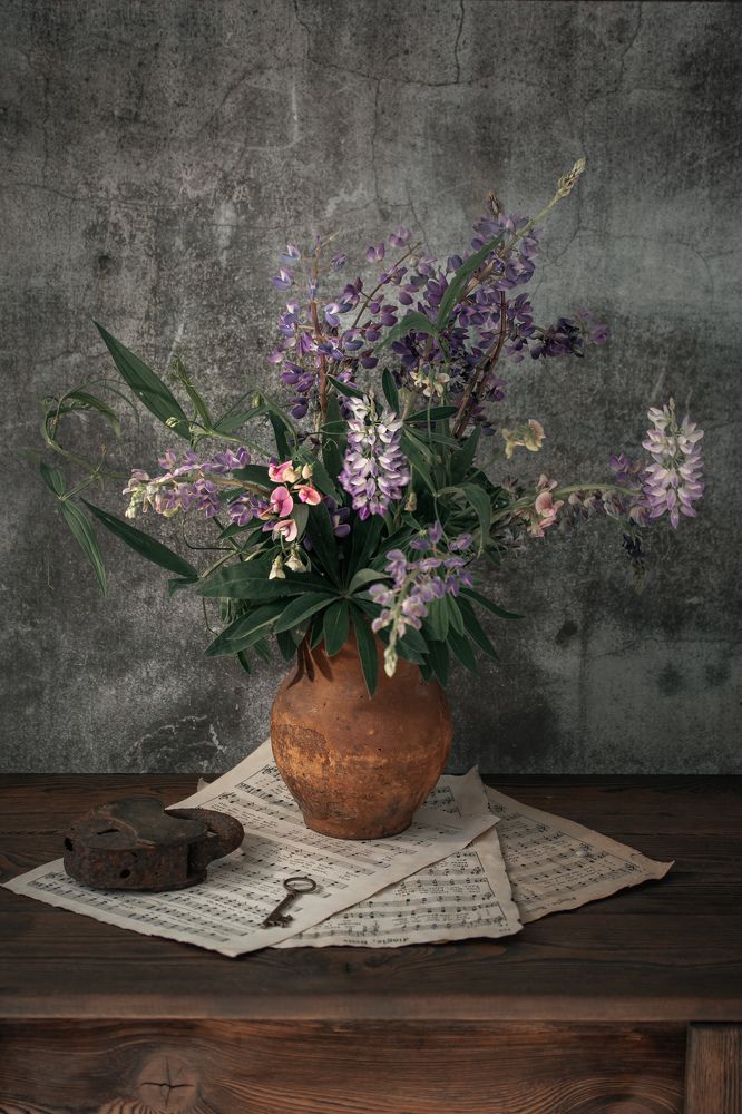 Photograph by Natalia Megelbey