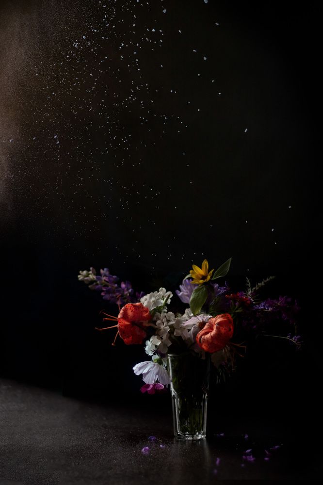 Photograph by Елена Рудь