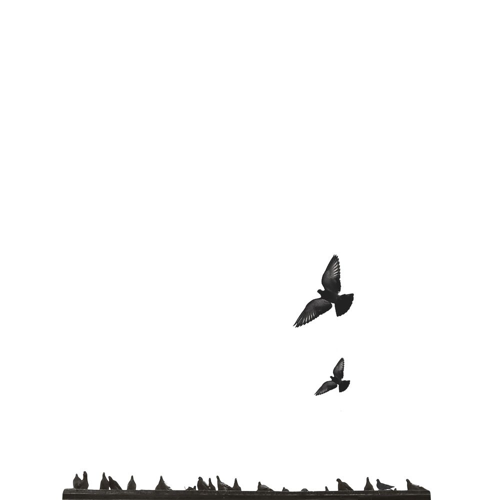 Photo #7934529