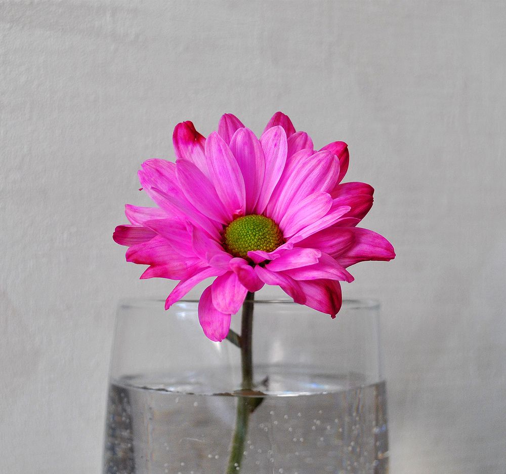 Photograph by Алексей