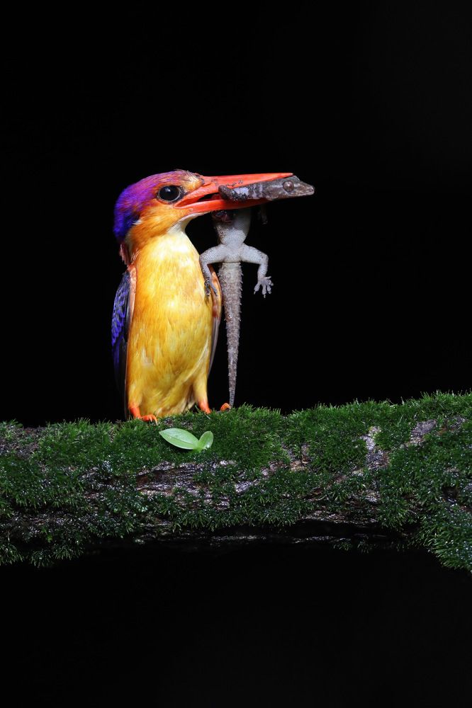 Photograph by Nilesh Tandel