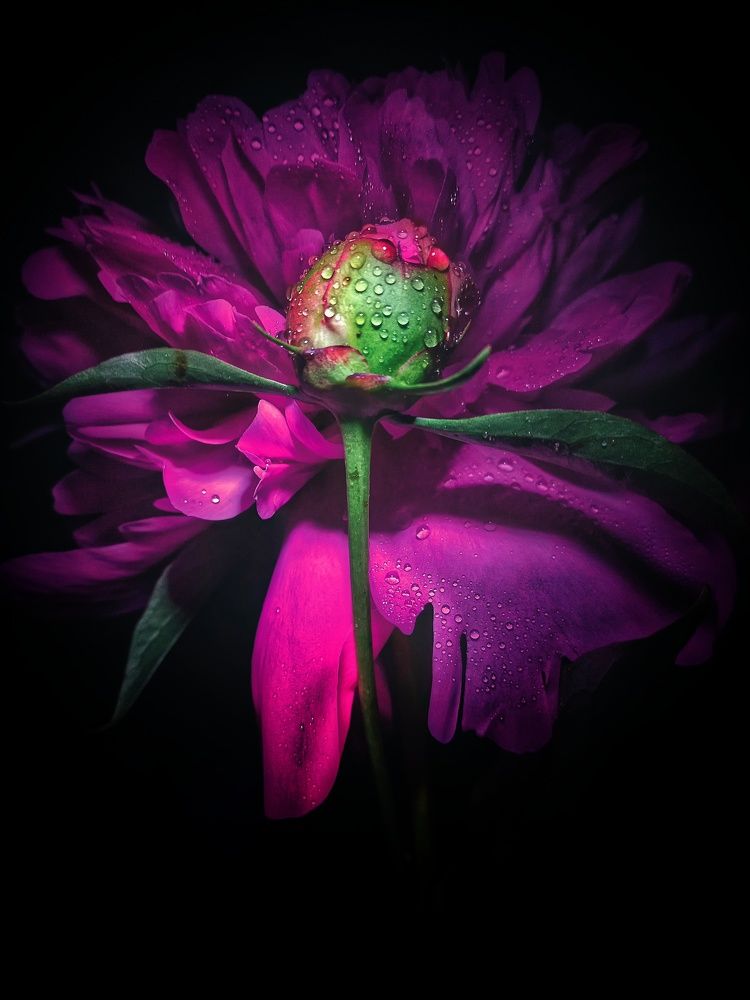 Photograph by Марина