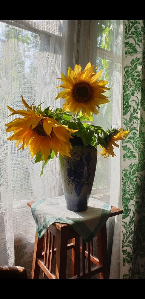 Photograph by Lina D