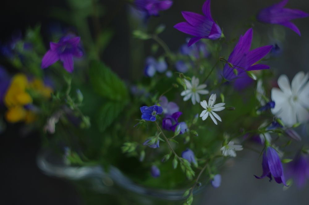 Photograph by Наталья Шумилова