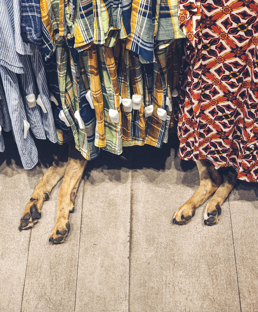 Photograph by amin roshan afshar