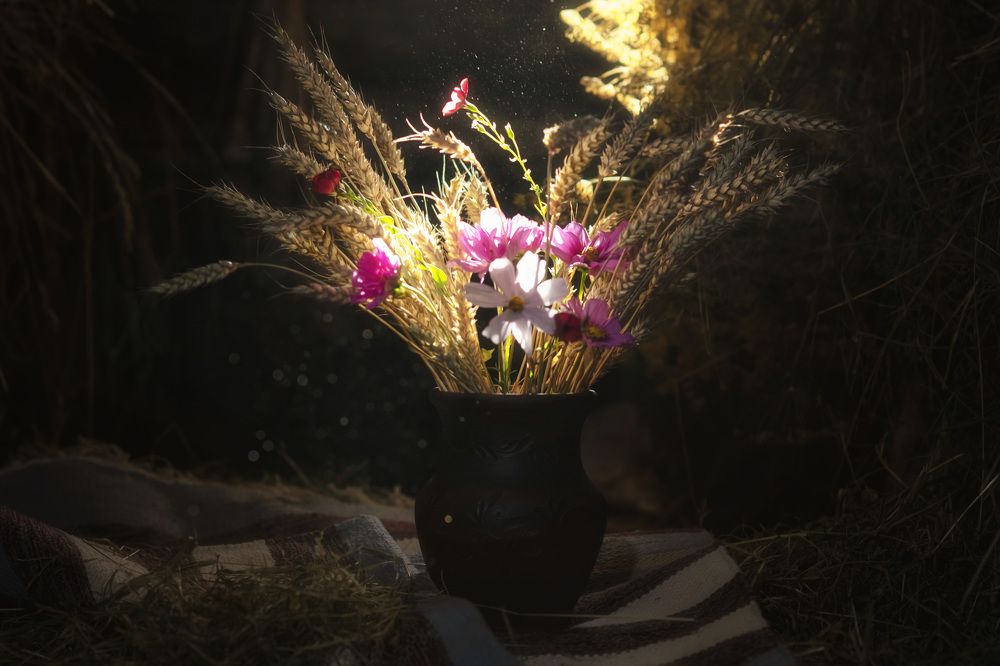 Photograph by Ирина Ефимова