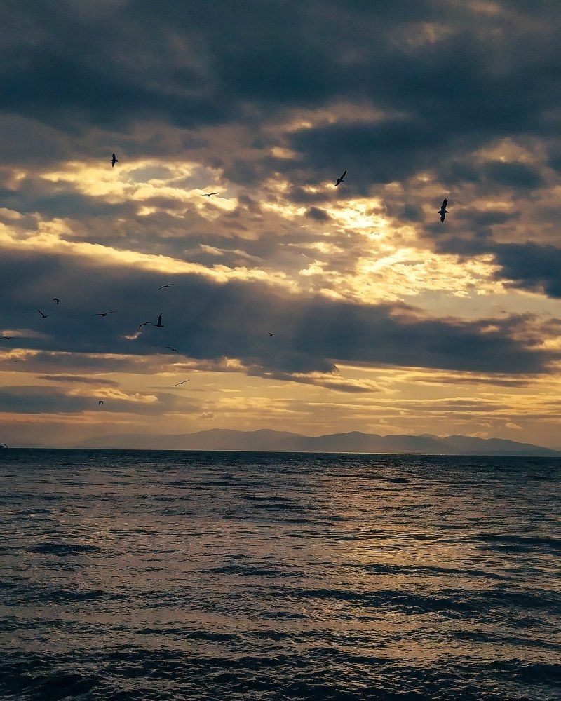 Photograph by Дарья