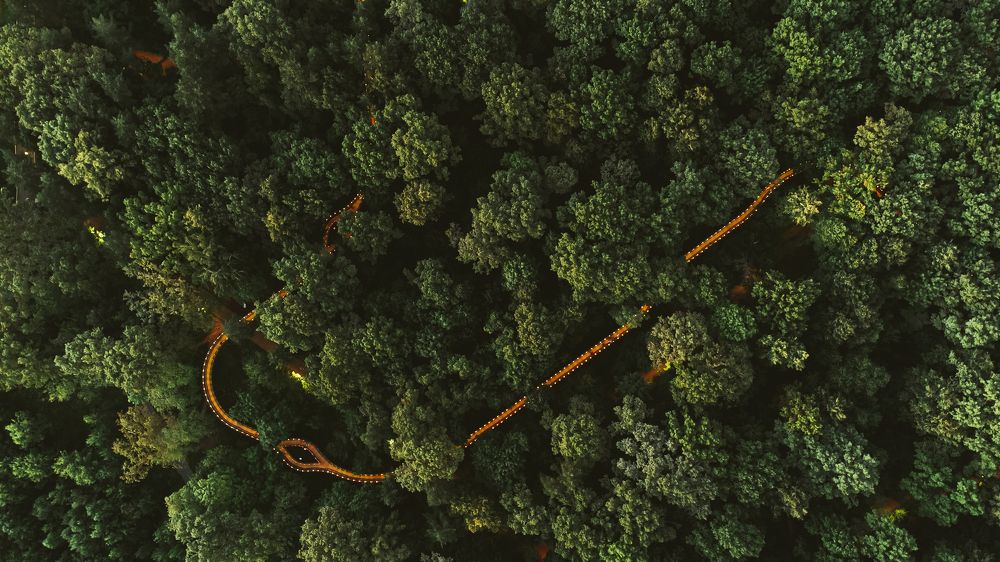 Photograph by Sergey Korshunov