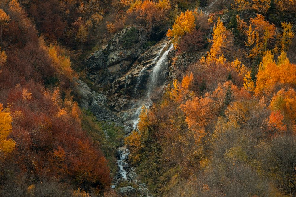 Photograph by Sergey Korshunov